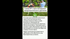 Клумба из многолетников для начинающих: дизайн и готовые схемы