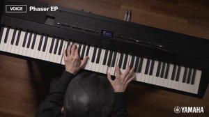 Yamaha P-525 demo