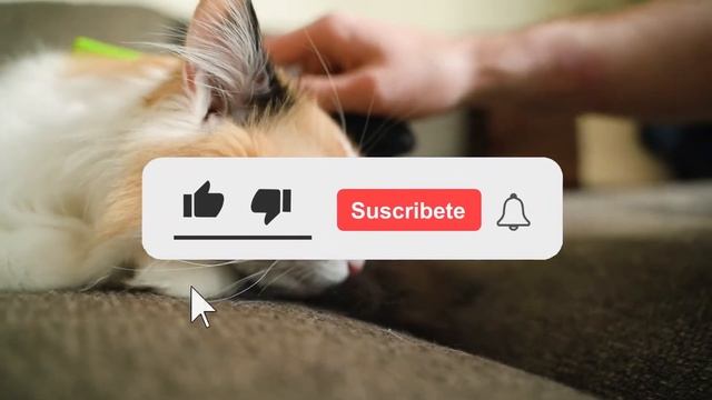 SIGNIFICADO del NÚMERO ANGÉLICO 1144 y su EXTRAORDINARIO MENSAJE смотреть онлайн