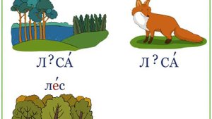 Ударные и безударные гласные звуки