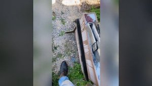 Получение элементарной меди из медного купороса