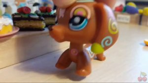 LPS:Случай в магазине/Это просто дурдом какой-то!!!