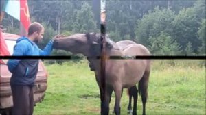 рыбалка на карпа челябинская область