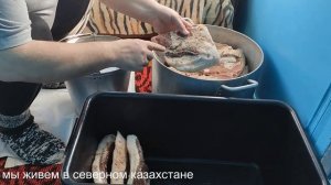 КОПЧЕНИЕ САЛА. От А до Я. Холодное копчение сала.
