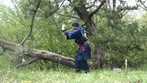 удары тунбэй и вин чун кун фу