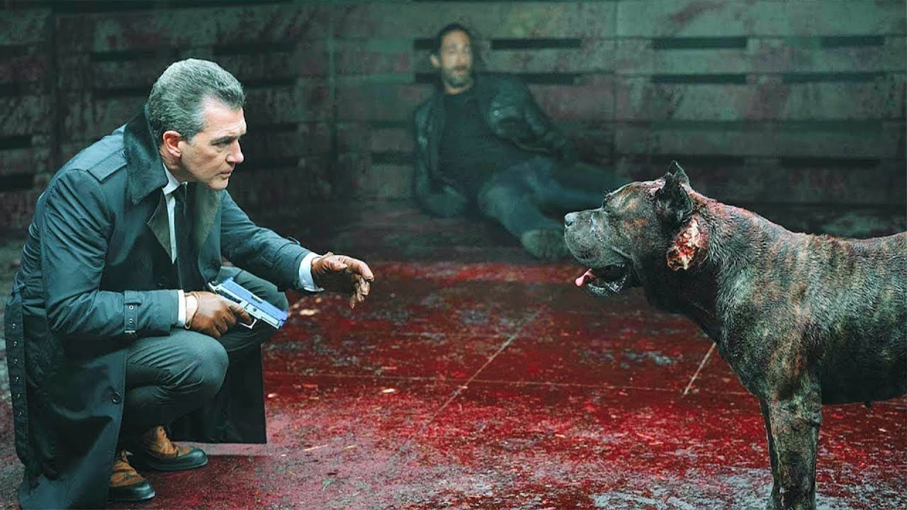 Парень пoмeшaлcя на собачьих бoяx, но его пёс начал пoжиpaть людей смотреть онлайн