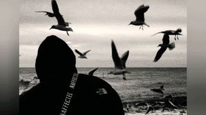 Xcho-налей(slowed)