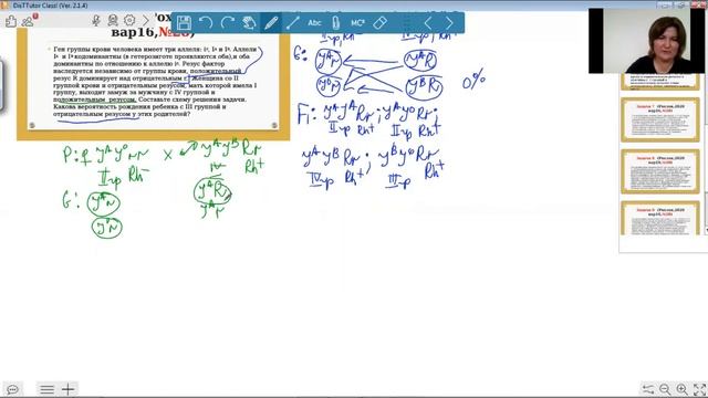 Наследование групп крови и резус фактора. 28 задание Рохлов ЕГЭ смотреть онлайн