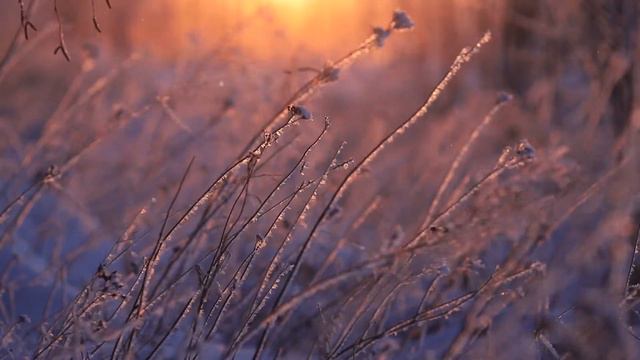 Природа зимой, красивая музыка для отдыха. Nature in winter, beautiful music for relaxation.