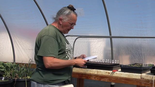 How To Decide When To Start Seeds смотреть онлайн