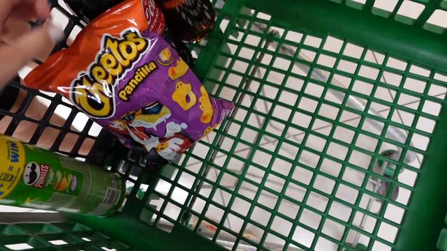 VLOG // Живем с Антоном и собакой 3 дня в горах / Пошли в зоопарк и были шокированы увиденым смотреть онлайн