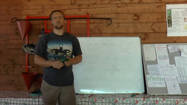 Курс «Зоология беспозвоночных», лекция 4, часть 1, ЛЭШ-2018