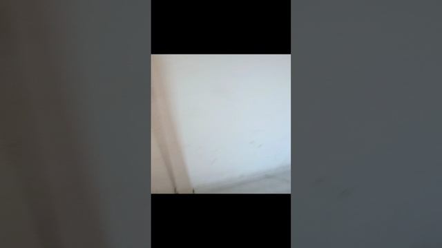 Я на пластунской смотреть онлайн