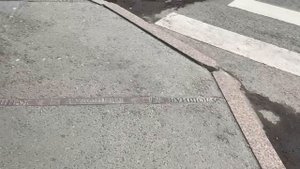 1 МАЯ шагаю по Москве