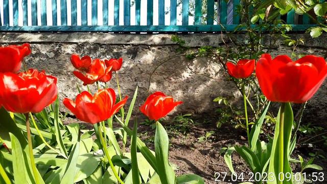 Делаем громче! Что мы часто не замечаем и не слышим... смотреть онлайн