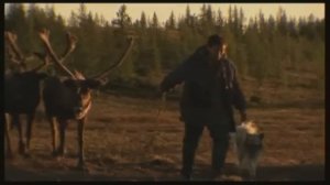 "Моя родина - Таймыр" (Ненцы)