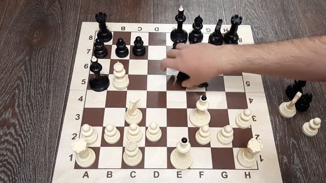 Ловушки в Скандинавской защите за белых | Шахматные ловушки