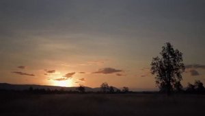 Nikon Coolpix P1000