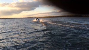 Прогресс 4 и Honda BF 50