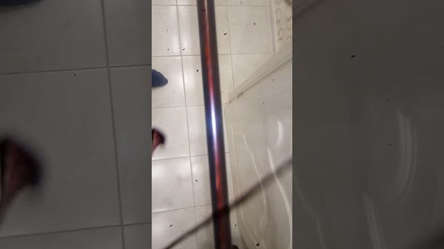 Фидер Шимано БистМастер БХ хэви. смотреть онлайн