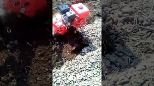 Пашем фрезой мотоблоком Форза мк80f