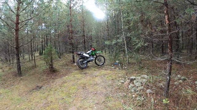 сегодня опять я в лесу, грибы были собраны за 1 час 13 минут,ну очень много грибов в этом году,??? смотреть онлайн