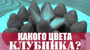 Какого цвета "не красная" клубника? Это фото удивило социальные сети.