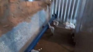 Модульная твердотопливная котельная на пиролизных котелах по 200 кВт  обвязка