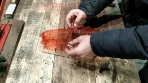 Ну ОЧЕНЬ простая МЫШЕЛОВКА своими руками из бутылки!