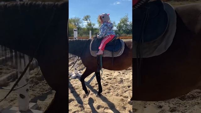 Учимся кататься на лошадках(клуб Верест) смотреть онлайн