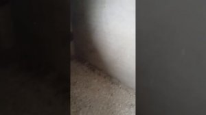 2-к квартира в Туапсе ул. Калараша
