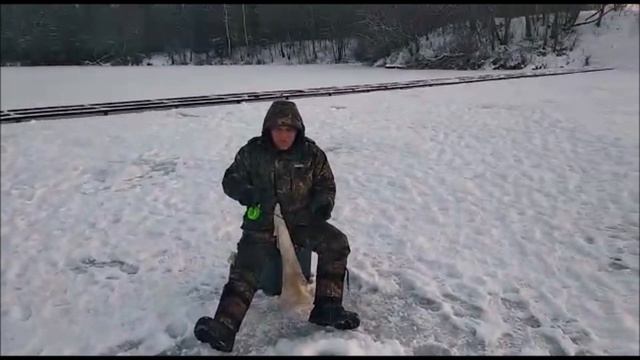 Обзор уловов с 3 сектора!! Клевое место . д Савельево смотреть онлайн