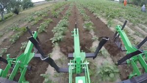 КЕНТАВР Т-24 PRO окучиваем картофель