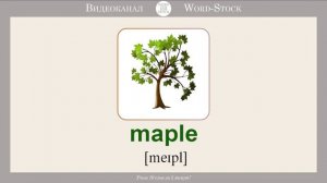 ДЕРЕВЬЯ НА АНГЛИЙСКОМ - Учим название деревьев на английском языке