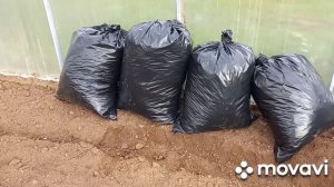 Компост из опавших листьев ??? Витаминная сокровищница?