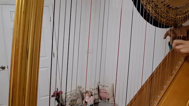 ❤️Hanon Exercises No.41 : Arpeggios on the Triads - B Major #arpeggios #arpeggio #major #bmajor смотреть онлайн