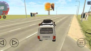 пасхалки в ваз краш