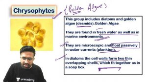 Vijeta of 2021 | Biological Classification-Protista | Biology | Unacademy Class 11&12 | Rahul Sharm