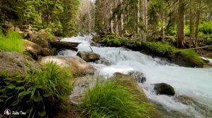 Успокаивающая музыка для нервов