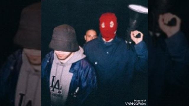 грибы-копы