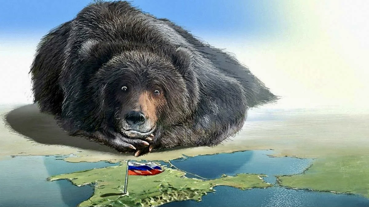 Russia bear steam фото 51