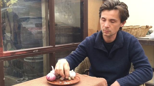 ЧЕСНОК однозубка или делёнка смотреть онлайн