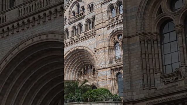 National history museum London | UK history museum | visit places in uk | #museum #shortsvideo