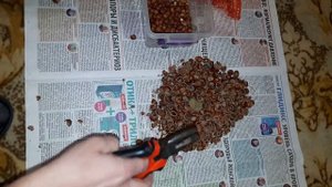 Как почистить фундук без особых усилий, с помощью....