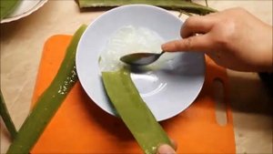 Алоэ с медом. Кашель пройдет за пару дней.