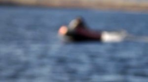 Компас 380 + Tohatsu 9.8