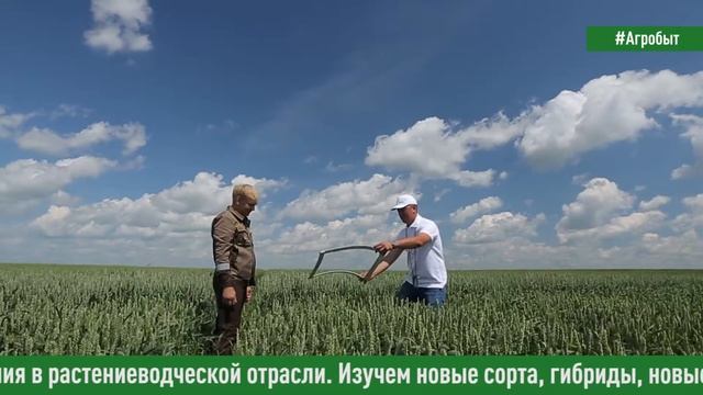 "Почему я работаю в АгроТерре?" -интервью агронома-исследователя Евгения Купряжкина