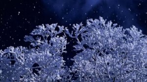 Николай Рубцов "В этой деревне огни не погашены". Кавер. Исполняет Алексей Маркин.