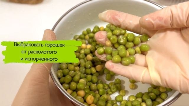 Микрозелень | Как вырастить микрозелень дома