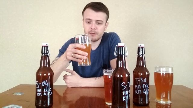 Сравниваем пивные дрожжи Fermentis.